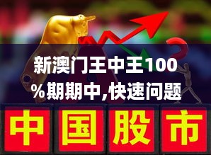 新澳门王中王100%期期中,深度解答解释落实