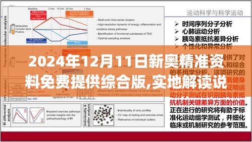 2025新澳最准确资料;-精选解析，定量解答解释落实_orw65.68.42