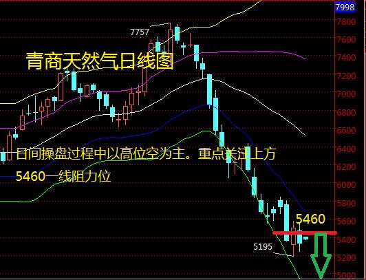 新奥精准资料免费提供(综合版)_最新;-精选解析，精确方案反馈