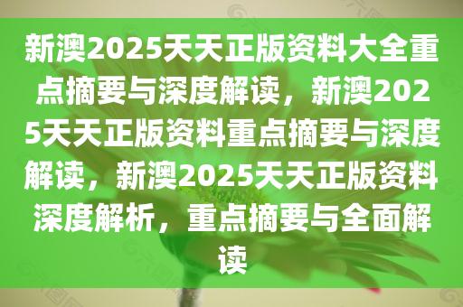 新澳大全2025正版资料;-精选解析，实用释义解释落实