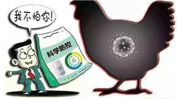 h7n92024年最新消息